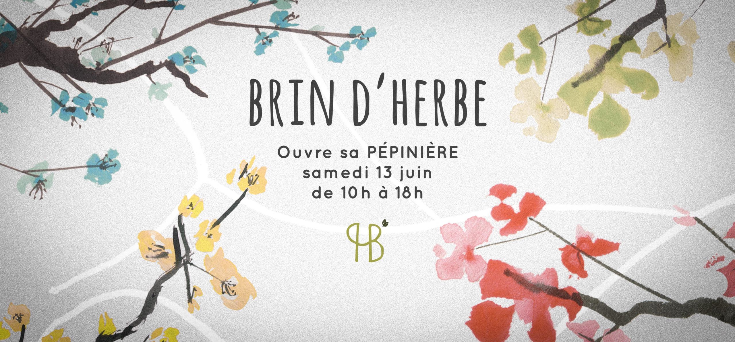 Pépinière brin d'herbe – Des vivaces en Livradois